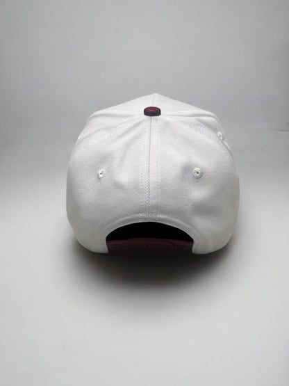 Vikings Hat